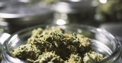 Maconha