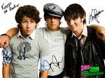 The Jonas Brothers