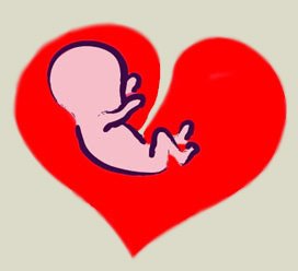 coração com feto