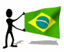 Torcedor e bandeira do Brasil