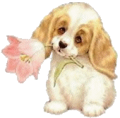cachorrinho segurando florzinha