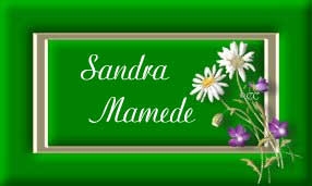 Cartão Sandra Mamede
