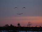 Sorriso no céu