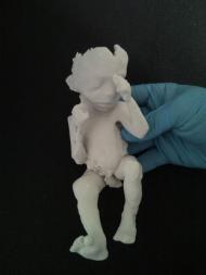 Modelo de feto em 3 dimensões - The Foetus Project by Jorge Lopes Dos Santos